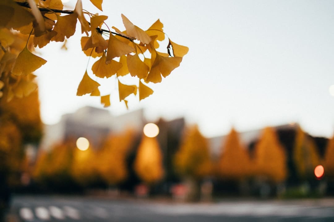 以更优标准助力产业提质——市场监管总局详解先进制造领域标准体系建设成效